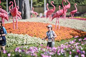 BIB: 
                            <button type="button" onclick="openModal(27793377)" class="btn btn-primary btn-sm float-right btn-popup" data-toggle="modal" data-target=".modal-high-quality">
                        <i class="fas fa-shopping-cart"></i> Add to Cart
                    </button>
                                            <button type="button" onclick="isThisMe(27793377, true)" class="btn btn-success btn-sm float-right btn-popup btn-isme hidden" data-toggle="tooltip" data-placement="bottom" title="นี่คือรูปของคุณใช่ไหม คลิกที่นี่เพื่อเอาเข้าอัลบั้ม">
                        <i class="fas fa-plus"></i> Add to album
                    </button>
                    <button type="button" onclick="isThisMe(27793377, false)" class="btn btn-warning btn-sm float-right btn-popup btn-isnotme hidden">
                        <i class="fas fa-ban"></i> Remove from album
                    </button>